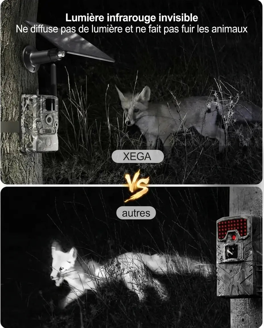 Caméra de Chasse Solaire HD 2K Surveillance