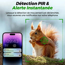 Caméra de Chasse Solaire HD 2K Surveillance - vue arrière