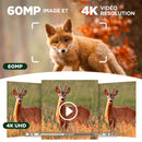 Caméra de Chasse Solaire HD 2K Surveillance - dimensions et design