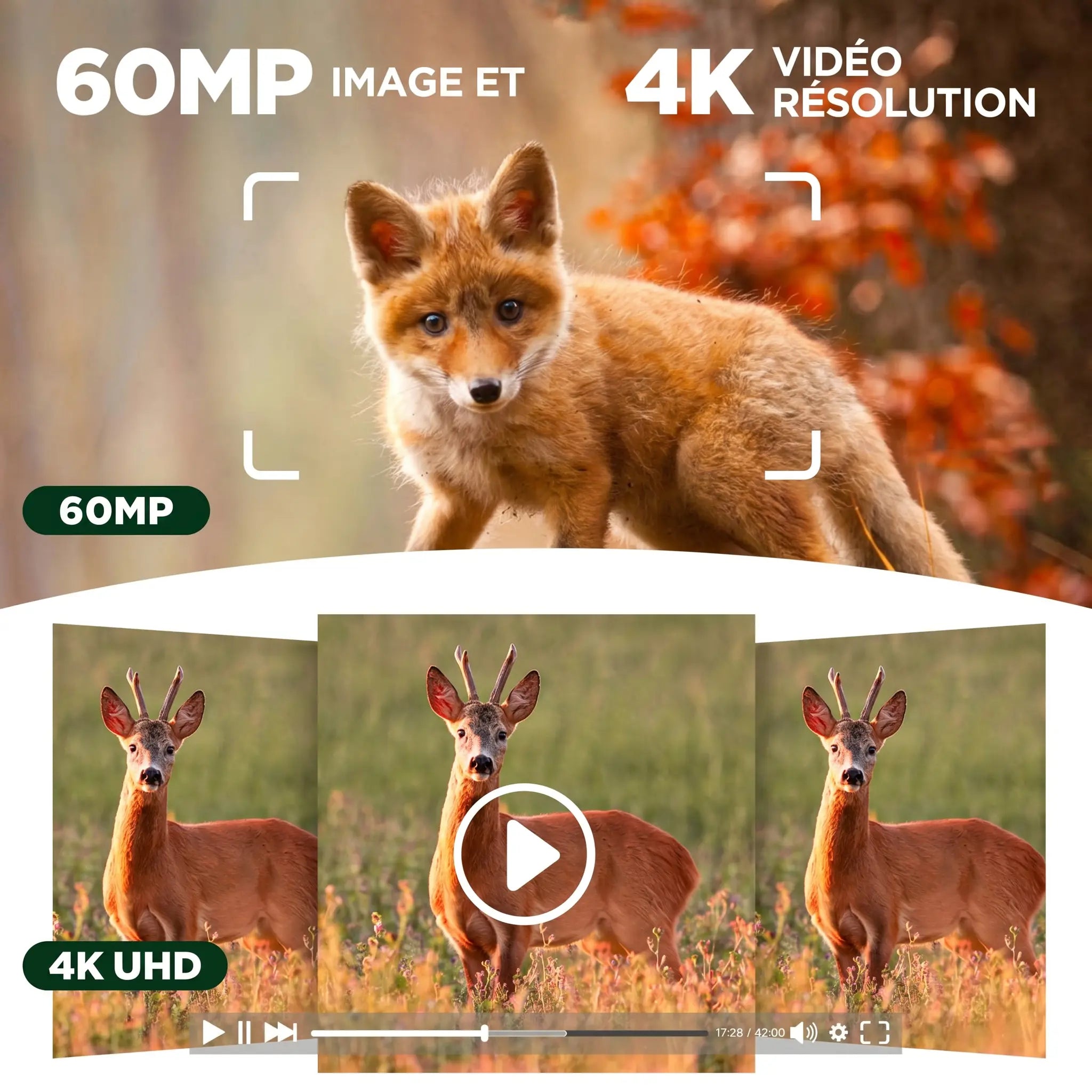 Caméra de Chasse Solaire HD 2K Surveillance - dimensions et design