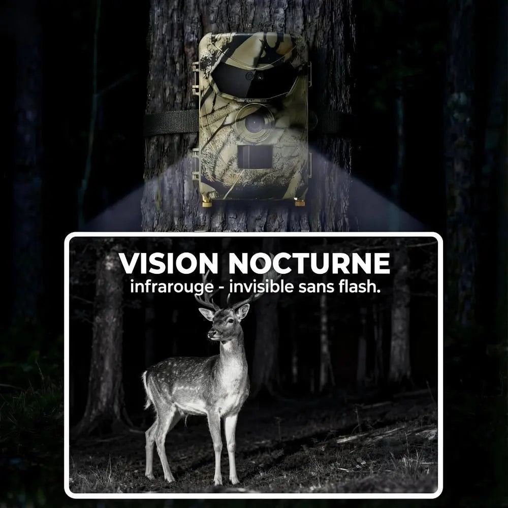 Cam�ra de chasse nocturne - vue 5