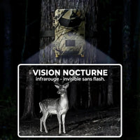 Cam�ra de chasse nocturne - vue 5