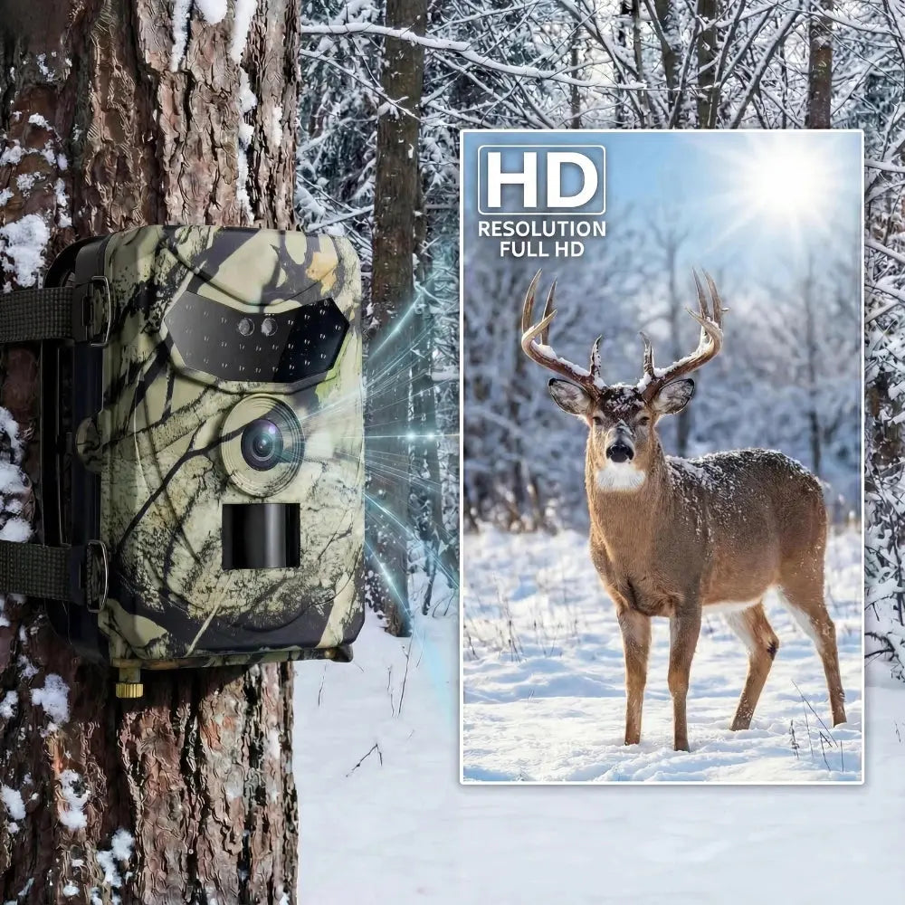 Cam�ra de chasse nocturne - vue arriere