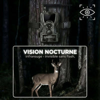 Caméra de chasse exterieure hd special 4G - accessoires inclus