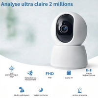 Caméra de surveillance sans internet - vue détaillée